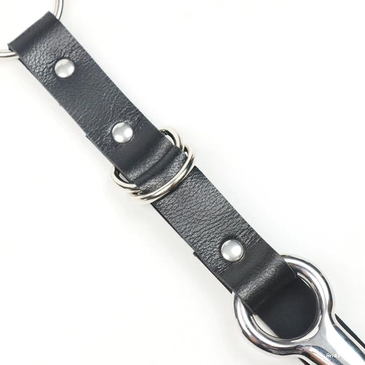 Hook Leash 5853 EverydayUse Collar with and Anal Kinky 0821